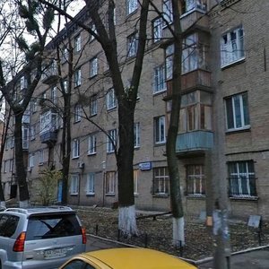 Mykilsko-Botanichna Street, 15/17 ، كييف: صورة