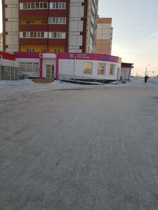 Karla Marksa Avenue, 224, : foto