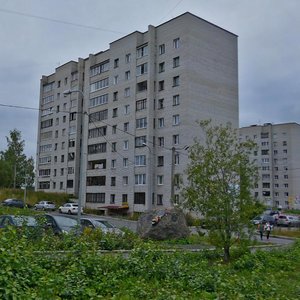 Borovaya Street, 3, Petrozavodsk: photo