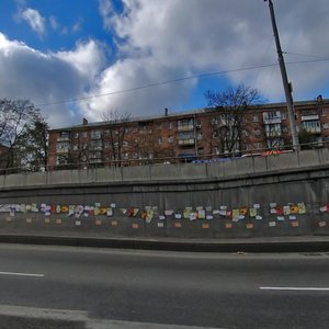 Oleny Telihy Street, 17, Kyiv: photo