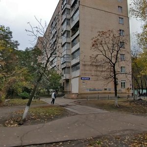 Pryvokzalna Street, 14А, Kyiv: photo