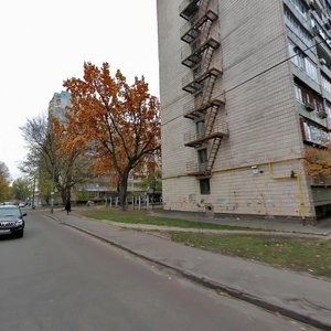 Mykhaila Kotelnykova Street, 3, Kyiv: photo