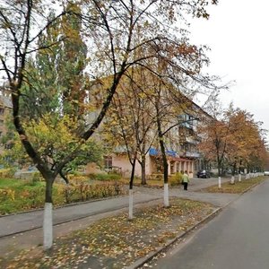Yuriia Paskhalina Street, 12, Kyiv: photo