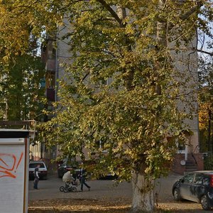Leskova Street, 38 ، نيجني نوفغورود: صورة