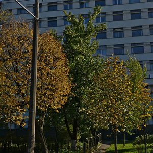 Karla Libkniehta Street, 85, : foto