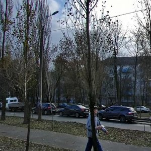 Vatslava Havela Boulevard, 11, Kyiv: photo