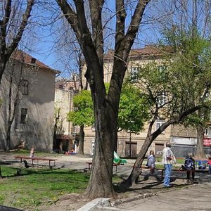 Vulytsia Kniazia Mstyslava Udatnoho, 15, Lviv: photo