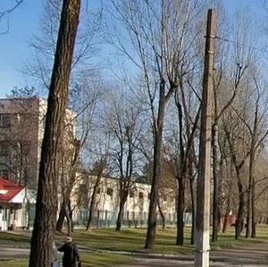 Dorohozhytska Street, 10, Kyiv: photo