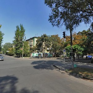 Kniazia Volodymyra Velykoho Street, 20, Dnipro: photo