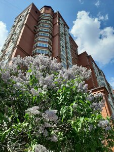 Teplichny Lane, 4, Moscow: photo