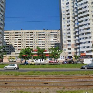 Nastavnikov Avenue, 47к1, Saint Petersburg: photo