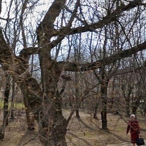 Vokzalnaya ulitsa, 27 ، : صورة