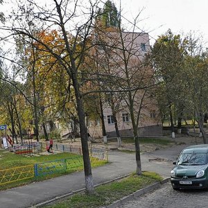 Volodymyra Salskoho Street, 27, Kyiv: photo