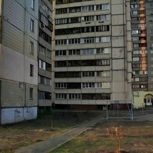 Larysy Rudenko Street, 10Г, Kyiv: photo