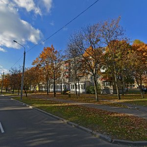 Jana Rajnisa Street, 9, Minsk: photo