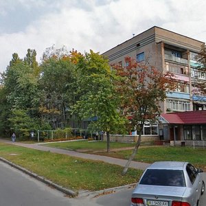 Vulytsia Zakhysnykiv Ukrainy, 14 ، : صورة