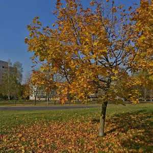 Galadzieda Street, 4, Minsk: photo