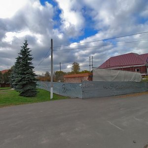 Павловский Посад, Улица Льва Толстого, 4: фото