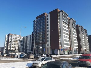 Veteranov Avenue, 175, Saint Petersburg: photo