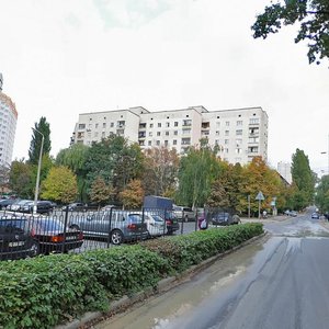 Mykoly Krasnova Street, 10, Kyiv: photo