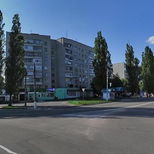 Lesi Ukrainky avenue, No:142, Kremenchuk: Fotoğraflar