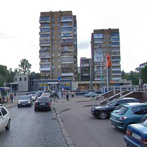 Moskovskiy Avenue, 118 ، : صورة