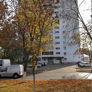 Prospekt Dzerzhinskogo, 33А, Orenburg: photo