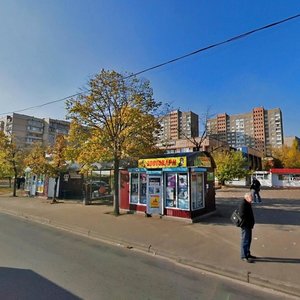 Mykoly Zakrevskoho Street, 29, Kyiv: photo