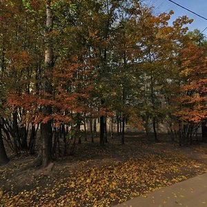 Vernadskogo Avenue, 64А, : foto