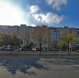 Serzha Lyfaria Street, 5, Kyiv: photo