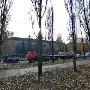 Vatslava Havela Boulevard, 19, Kyiv: photo