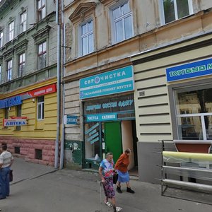 Vulytsia Fedkovycha, 11, Lviv: photo