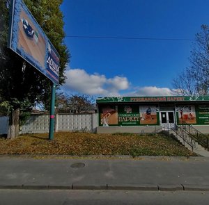 Oleny Telihy Street, 4, Kyiv: photo