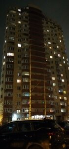 Visherskaya Street, 16 ، سان بطرسبرغ: صورة
