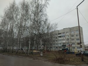 Mikrorayon D, 42Д, Novomichurinsk: photo