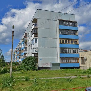 Новгородская область, Центральная улица, 17: фото