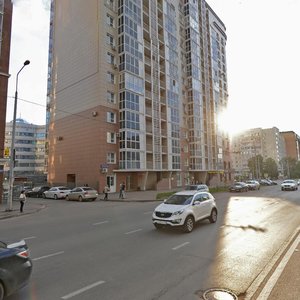 , Vishnevskogo Street, 29/48: foto