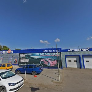 Starykh Bolshevikov Street, 45, Voronezh: photo