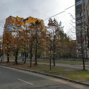 Pavla Tychyny Avenue, No:6А, Kiev: Fotoğraflar