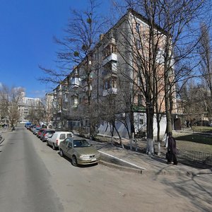 Marii Pryimachenko Boulevard, 6А, Kyiv: photo