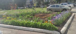 Ulitsa Volgina, 109, Samara: photo