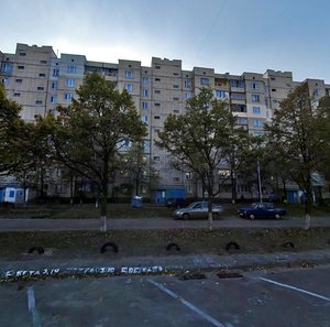 Serzha Lyfaria Street, 17, Kyiv: photo