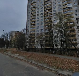 Henerala Naumova Street, 33, Kyiv: photo