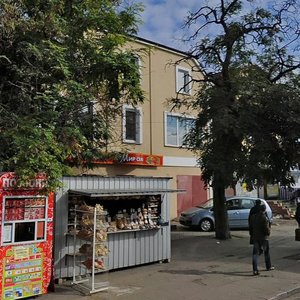 Vulytsia Chkalova, 2, Mykolaiv: photo