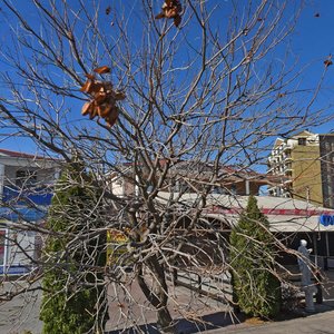 Chernomorskaya ulitsa, 220, Krasnodar Krai: photo