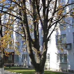 Mykoly Shepelieva Street, 3А, Kyiv: photo