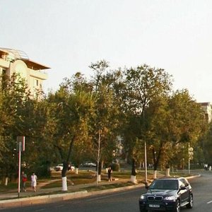 Al-Farabi Avenue, 110, Almaty: photo