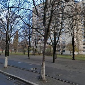 Mykoly Vasylenka Street, 13, Kyiv: photo