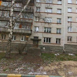 1st Microdistrict, 10, Nizhny Novgorod: photo