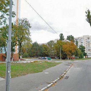 Akademika Navashyna Street, 13, Kyiv: photo